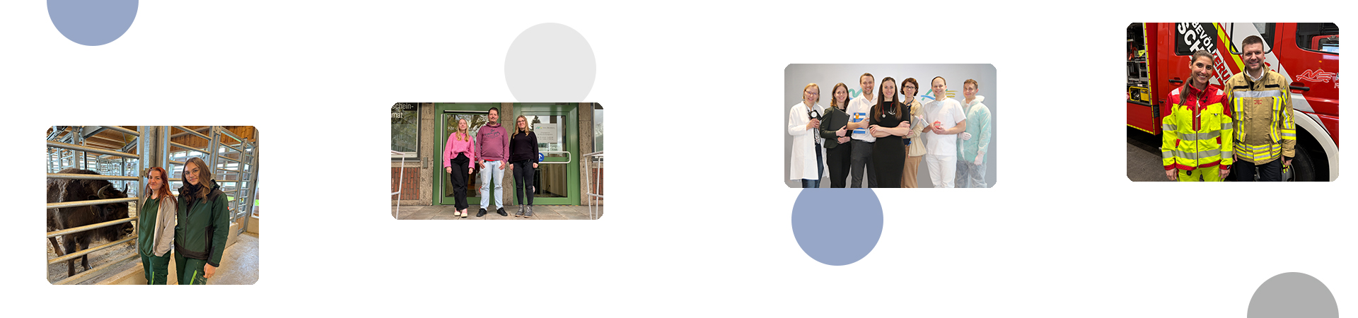 Alternativer Text für MENU_SELECTIONPROCESS